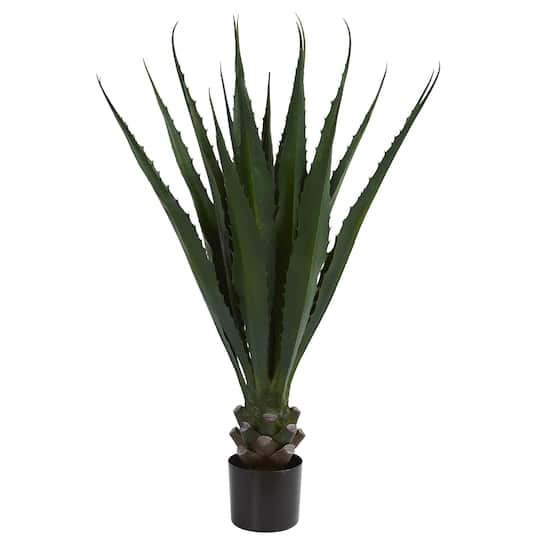 4ft. Potted Agave Plant